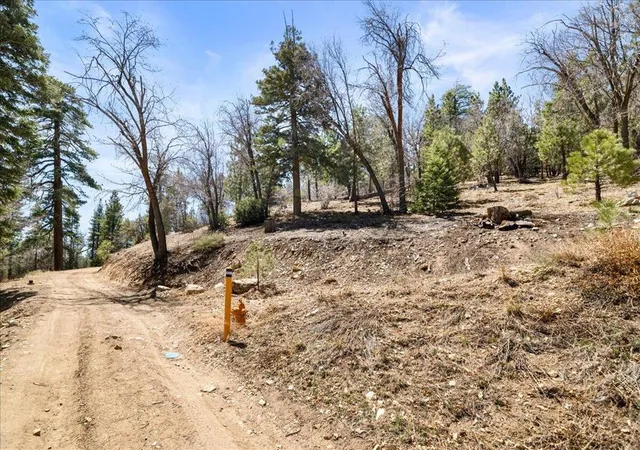 3rd image of 1286 Canyon Rd, Fawnskin, CA 92333 | MLS# 219146977PS