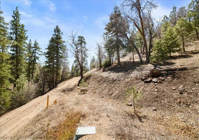 5th image of 1286 Canyon Rd, Fawnskin, CA 92333 | MLS# 219146977PS