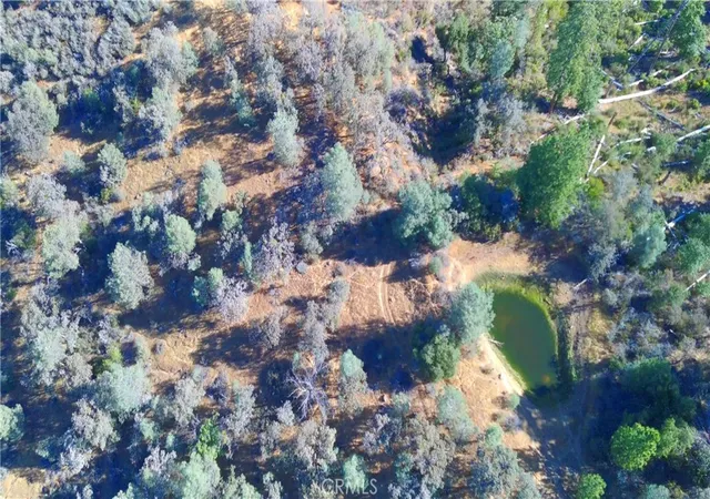 20th image of 5341 Paddy Hill Rd, Mariposa, CA 95338 | MLS# MP26085816