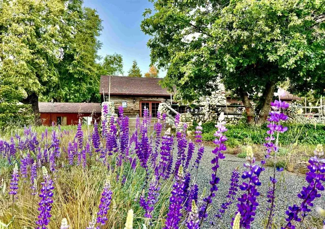 Single family home for sale at 22228 Crestline Rd, Palomar Mountain, CA 92060 | MLS# NDP2604028