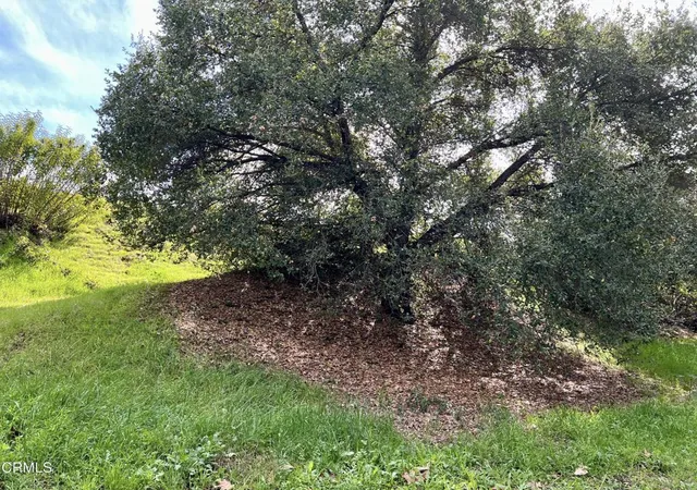2nd image of 190 Sycamore Ln, Bradbury, CA 91008 | MLS# P1-26841
