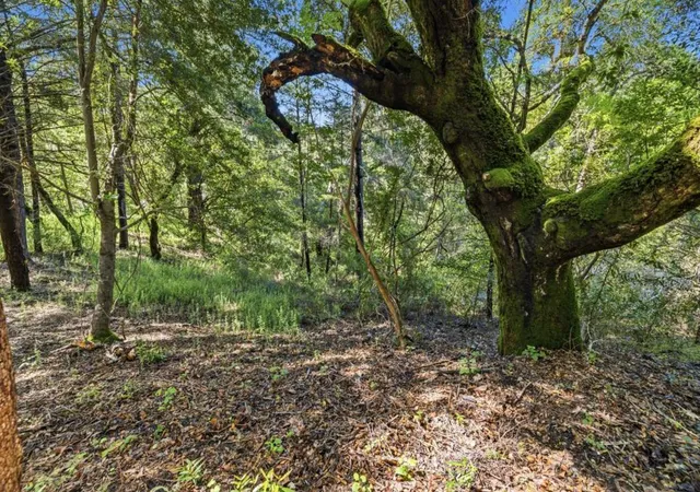 Homes for sale in Boulder Creek, CA | 360 Rincon Wy, Boulder Creek, CA 95006 | MLS# ML82044799