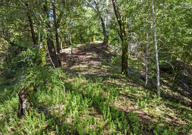 Photo 3 of Land for sale at 360 Rincon Way, Boulder Creek, CA 95006 | MLS# ML82044799 | Listing updated on 2026-09-13