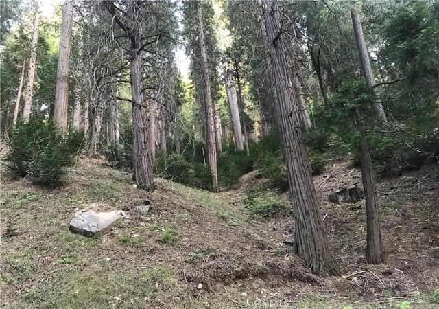 1st image of 0 Mojave River, Cedarpines Park, CA 92322 | MLS# PW26091706