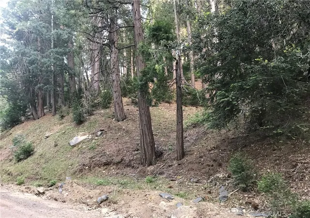 2nd image of 0 Mojave River, Cedarpines Park, CA 92322 | MLS# PW26091706