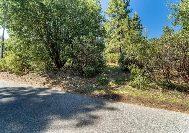 Homes for sale in Idyllwild, CA | 0 Deer Foot Ln, Idyllwild, CA 92549 | MLS# 219147051PS