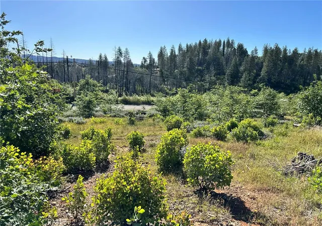 Homes for sale in Berry Creek, CA | 0 Katella, Berry Creek, CA 95966 | MLS# OR26092476
