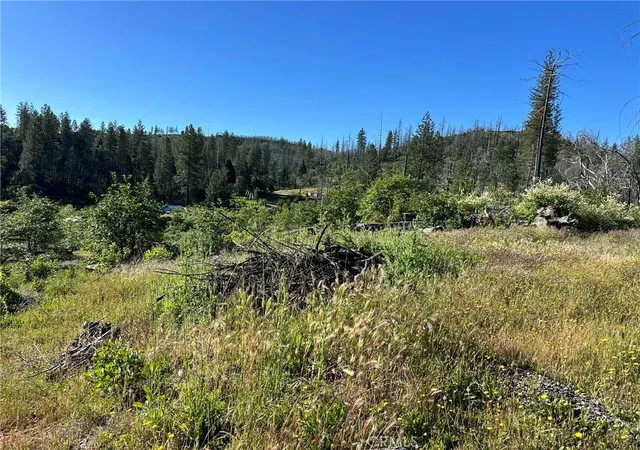 Homes for sale in Berry Creek, CA | 0 Katella, Berry Creek, CA 95966 | MLS# OR26092476