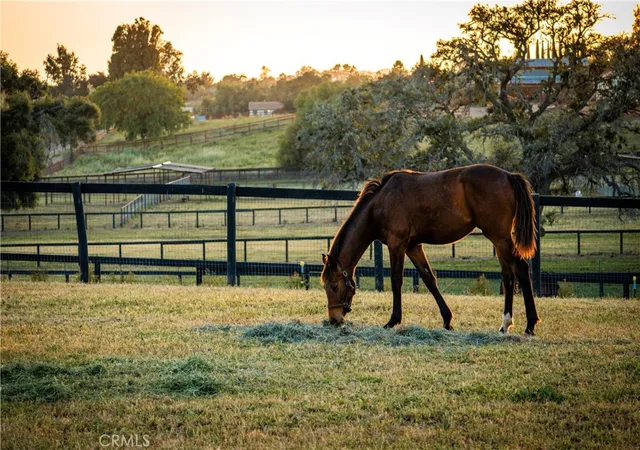 Homes for sale in Santa Ynez, CA | 1977 W San Marcos Pass Rd, Santa Ynez, CA 93460 | MLS# SR26092904