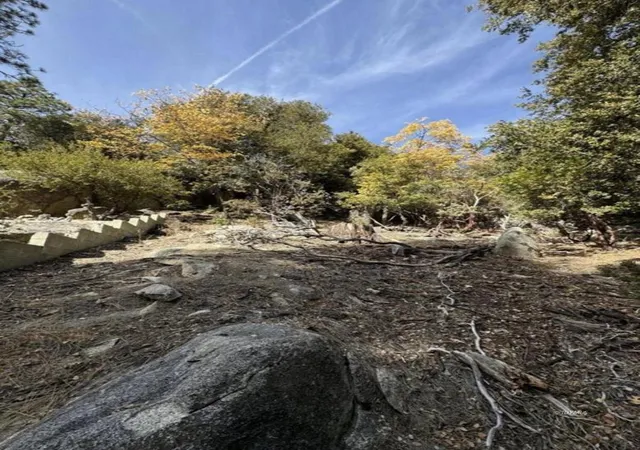 Homes for sale in Idyllwild, CA | 53642 Jeffrey Pine Ct, Idyllwild, CA 92549 | MLS# 219147115DA