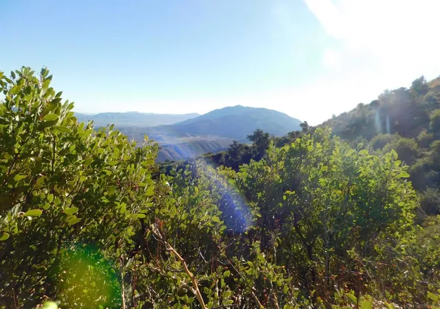 19th image of 1 Mountain View, Julian, CA 92036 | MLS# 260010284SD