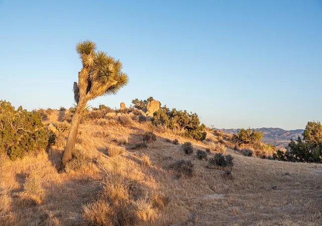 Homes for sale in Yucca Valley, CA | 56765 Sable Ct, Yucca Valley, CA 92284 | MLS# 219147158DA
