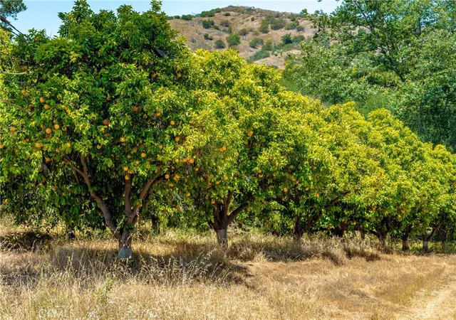 5th image of 25859 Avenida Del Oro, Temecula, CA 92590 | MLS# SW26094821