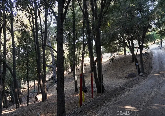 Homes for sale in Cedarpines Park, CA | 722 Mojave River Rd, Cedarpines Park, CA 92322 | MLS# HD26095039
