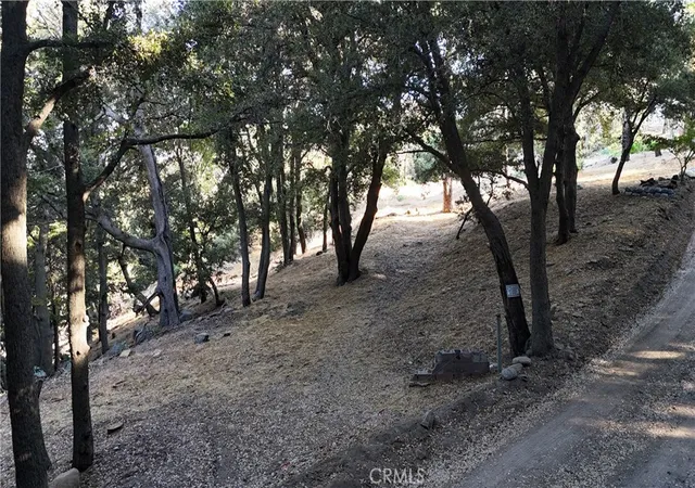 Homes for sale in Cedarpines Park, CA | 722 Mojave River Rd, Cedarpines Park, CA 92322 | MLS# HD26095039