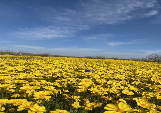 Land for sale at 0 Vacant Land, Mojave, CA 93501 | MLS# SR26095404