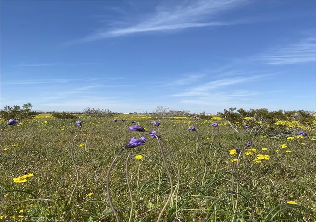 Photo 2 of Land for sale at 0 Vacant Land, Mojave, CA 93501 | MLS# SR26095404 | Listing updated on 2026-09-27