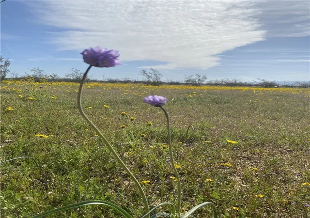 Photo 3 of Land for sale at 0 Vacant Land, Mojave, CA 93501 | MLS# SR26095404 | Listing updated on 2026-09-27