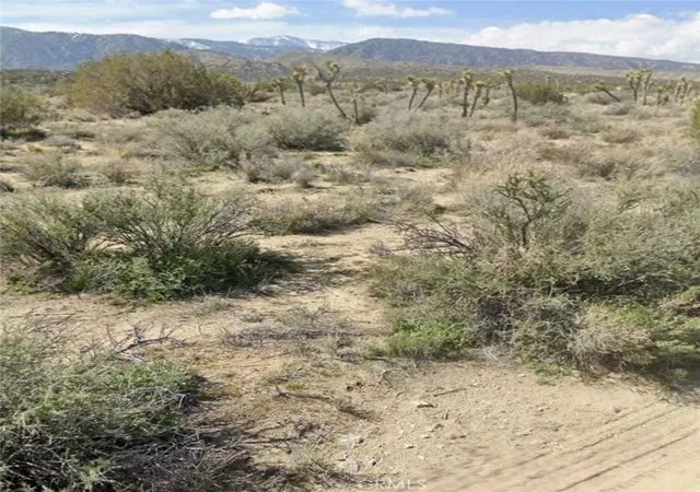 1st image of 0 E Avenue Z, Llano, CA 93544 | MLS# TR26096076