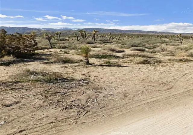 2nd image of 0 E Avenue Z, Llano, CA 93544 | MLS# TR26096076