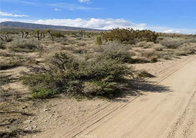 3rd image of 0 E Avenue Z, Llano, CA 93544 | MLS# TR26096076