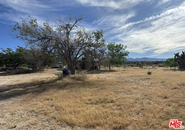 Photo 3 of Single family home for sale at 32049 213th Street, Llano, CA 93544 | MLS# 26829415 | Listing updated on 2026-10-01