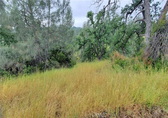 5th image of 7335 Bluebird, Corning, CA 96021 | MLS# SN26096991
