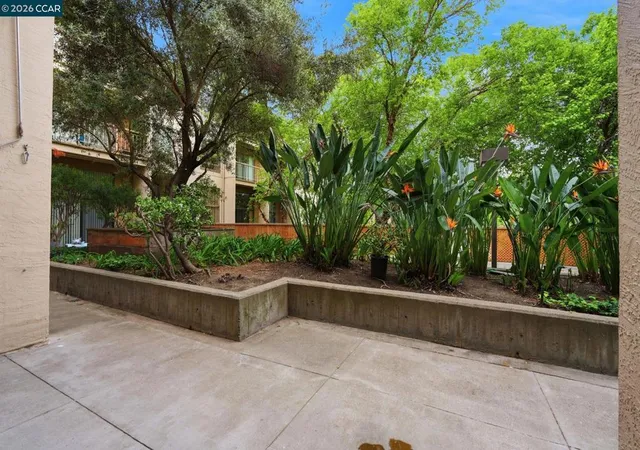 Photo 1 of Condo for sale at 460 N Civic Dr #302, Walnut Creek, CA 94596 | MLS# 41133542 | Listing updated on 2026-09-28