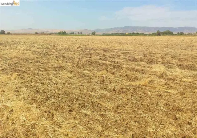 Photo 4 of Land for sale at 8000 Balfour Rd, Brentwood, CA 94513 | MLS# 41133558 | Listing updated on 2026-05-28