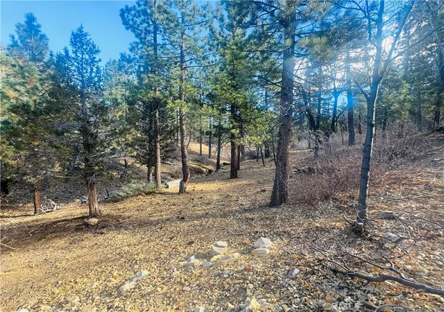 Homes for sale in Sugarloaf, CA | 899 Kern Ave, Sugarloaf, CA 92386 | MLS# IG26097725