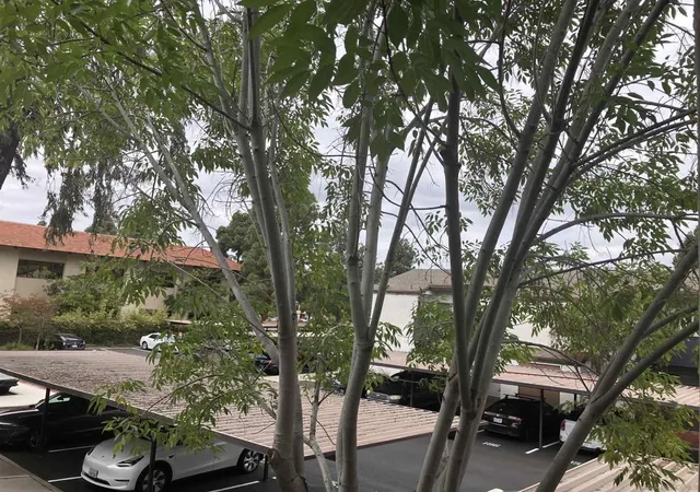 2nd image of 1361 Caminito Gabaldon #D, San Diego, CA 92108 | MLS# 260010838SD