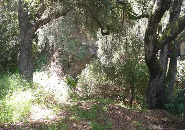Photo 3 of Land for sale at 1003 Carbon Cyn, Chino Hills, CA 91709 | MLS# IG26098409 | Listing updated on 2026-10-03