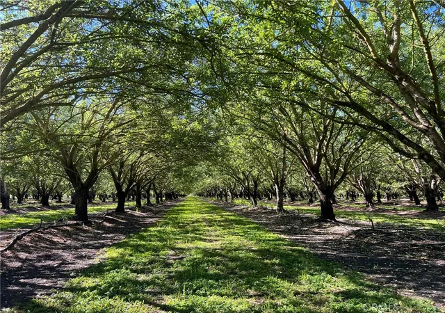 Photo 4 of Land for sale at 5000 Ord Fry, Chico, CA 95928 | MLS# SN26098452 | Listing updated on 2026-07-07