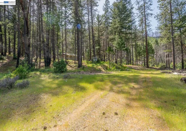 Photo 4 of Manufactured home for sale at 710 Dutch Crk Rd, Junction City, CA 96048 | MLS# 41133665 | Listing updated on 2026-05-13