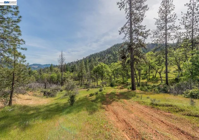 Photo 3 of Land for sale at 1780 Dutch Crk Rd, Junction City, CA 96048 | MLS# 41133670 | Listing updated on 2026-05-13