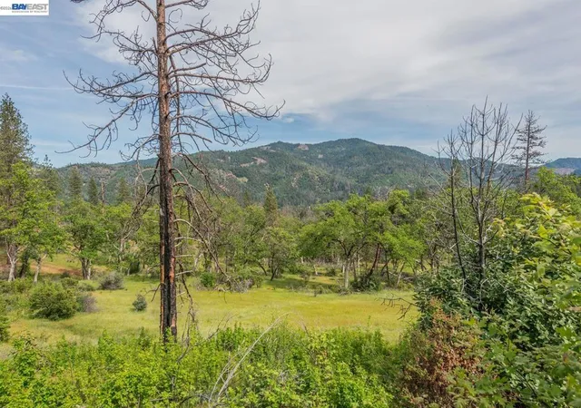 Photo 4 of Land for sale at 1780 Dutch Crk Rd, Junction City, CA 96048 | MLS# 41133670 | Listing updated on 2026-05-13