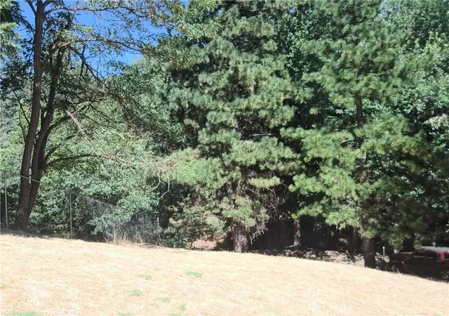 2nd image of 24814 Edelweiss, Crestline, CA 92325 | MLS# IV26098770