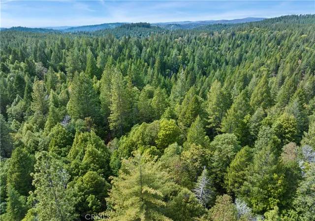 25th image of 63 Binet Rd, Clipper Mills, CA 95930 | MLS# SN26099016
