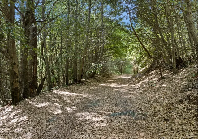 5th image of 63 Binet Rd, Clipper Mills, CA 95930 | MLS# SN26099016
