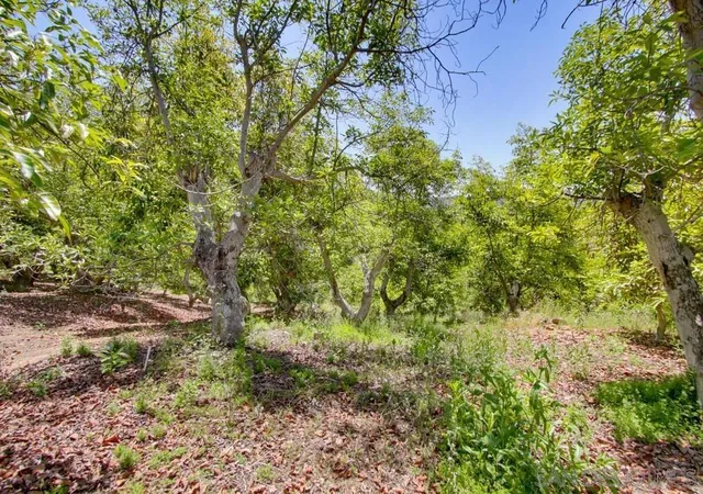 Homes for sale in Bonsall, CA | 31675 Rancho Amigos Rd, Bonsall, CA 92003 | MLS# 260010952SD