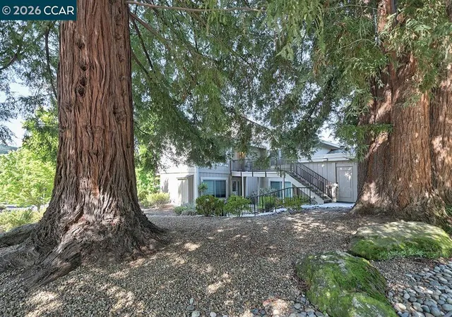 Photo 3 of Condo for sale at 2175 Cactus Ct #1, Walnut Creek, CA 94595 | MLS# 41133780 | Listing updated on 2026-09-19