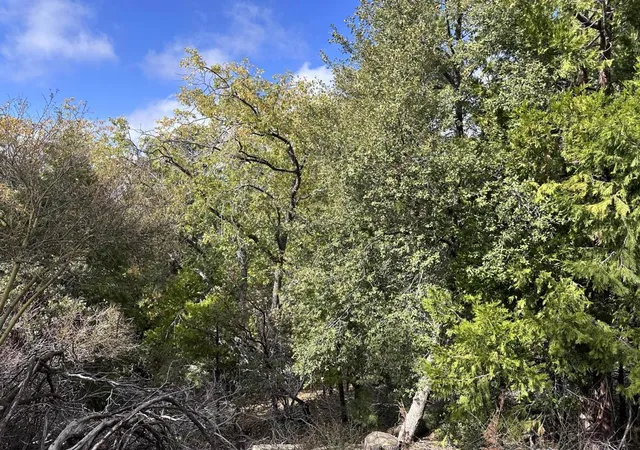 Photo 2 of Land for sale at (Undisclosed), Idyllwild, CA 92549 | MLS# 219147592DA | Listing updated on 2026-05-08