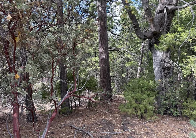 Photo 3 of Land for sale at (Undisclosed), Idyllwild, CA 92549 | MLS# 219147592DA | Listing updated on 2026-05-08