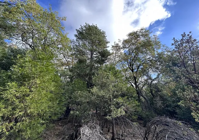 Photo 3 of Land for sale at (Undisclosed), Idyllwild, CA 92549 | MLS# 219147592DA | Listing updated on 2026-05-08