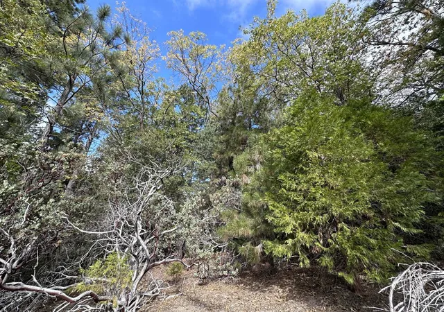 Photo 4 of Land for sale at (Undisclosed), Idyllwild, CA 92549 | MLS# 219147592DA | Listing updated on 2026-05-08