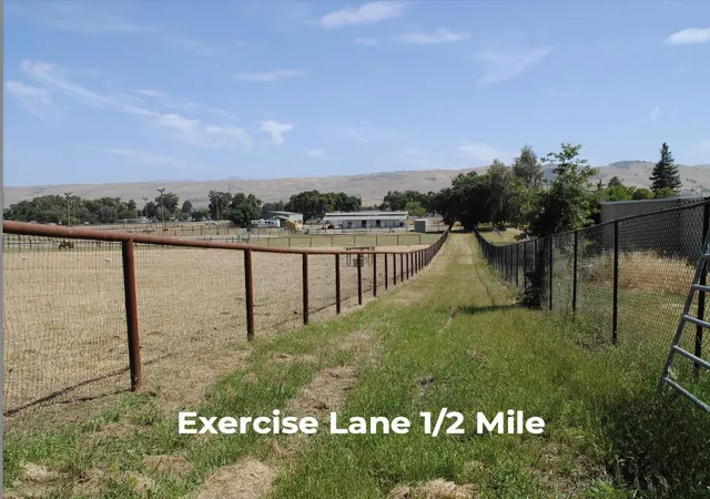 36th image of 19963 Hale Ave, Morgan Hill, CA 95037 | MLS# ML82046347