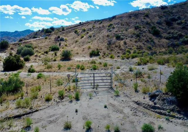5th image of 101 Cimarron Rd, Pioneertown, CA 92268 | MLS# JT26100393