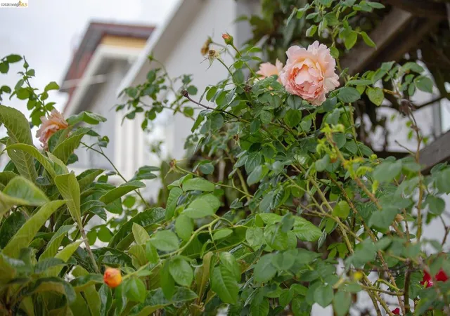 29th image of 1825 Highland Pl #1831, Berkeley, CA 94709 | MLS# 41134014
