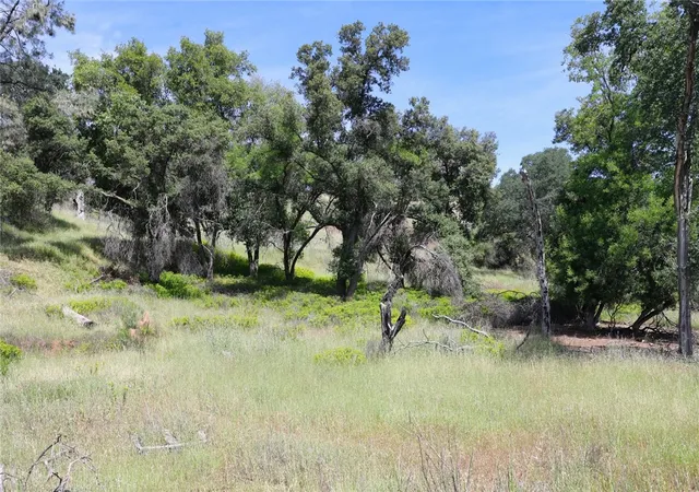 14th image of 3178 Oak Crest, Clearlake Park, CA 95424 | MLS# LC26090031