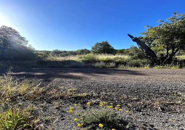 Photo 1 of Land for sale at Oak Way, Julian, CA 92036 | MLS# 260011227SD | Listing updated on 2026-07-15